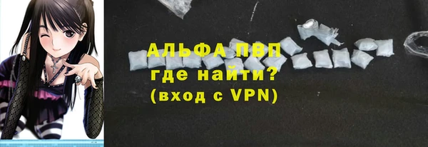 спайс Инта