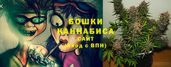 спайс Инта