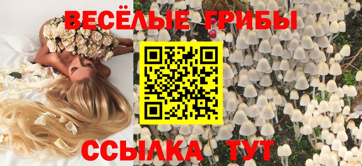 Псилоцибиновые грибы Cubensis  Вход с VPN  Галлюциногенные грибы GOLDEN TEACHER  Спасск-Дальний 